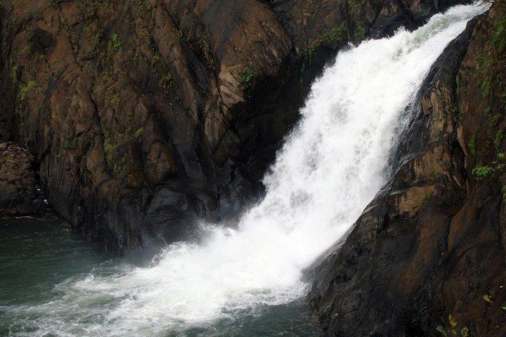 Dudhsagar waterfall wildlife & spice plantation Tour in Goa