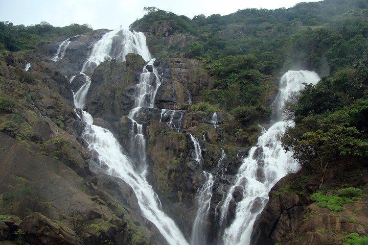 Dudhsagar waterfall wildlife & spice plantation Tour in Goa