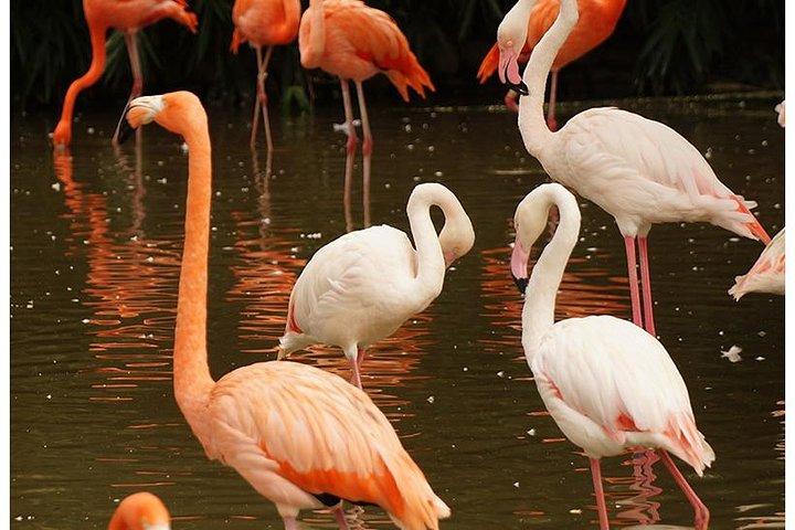7 Days Kenya Budget Safari