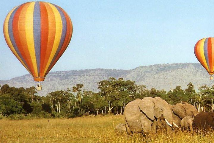 5 Days Maasai Mara, Lake Naivasha, Lake Nakuru safari