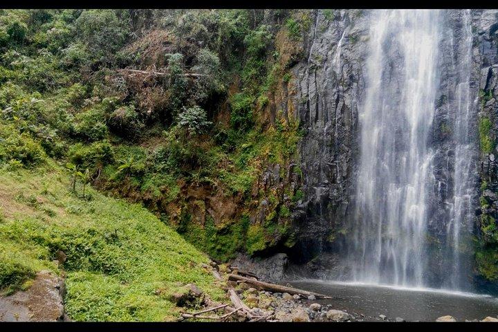 1 Day Tour to Materuni Waterfalls and Coffee Tour