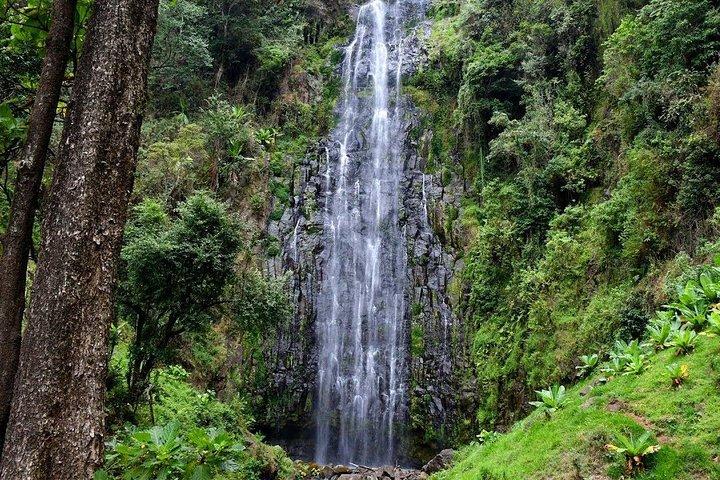 1 Day Tour to Materuni Waterfalls and Coffee Tour