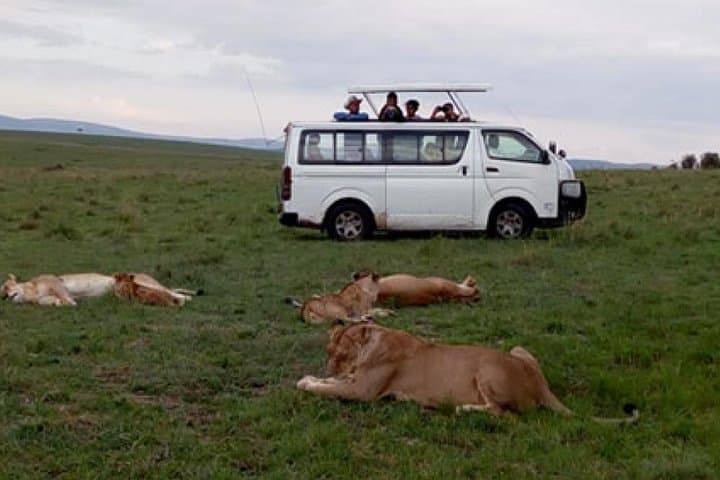 3 Days Maasai Mara Private Safari to Keekorok Lodge from Nairobi