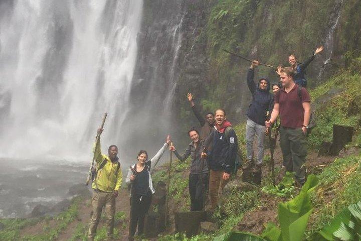 1 Day Tour to Materuni Waterfalls and Coffee Tour