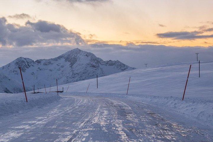 Arctic Nature Tour from Tromsø by minibus