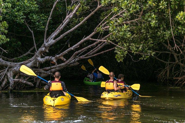 Night Kayaking Experience | Bioluminescent Lagoon in Fajardo 6pm