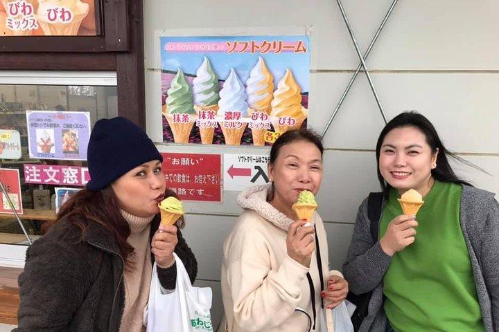 AWAJI ISLAND Custom Tour with Private Car & Driver (Max 9 Pax)