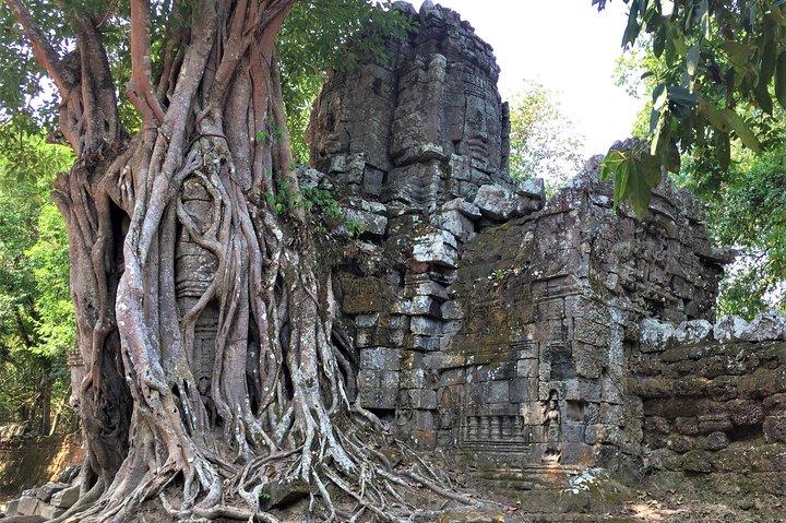 Private Grand tour temples by VIP biking