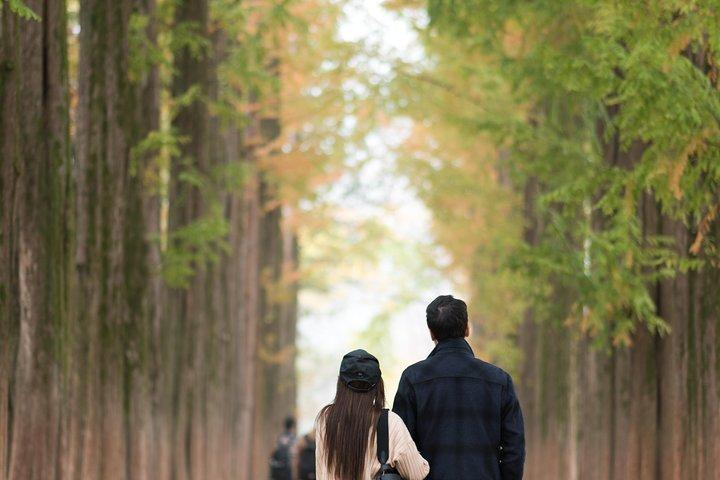 Private Nami Island Photo Shoot and Tour with a Photographer