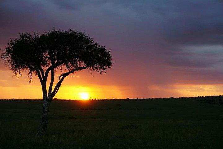5 DAYS mt. Kenya climb