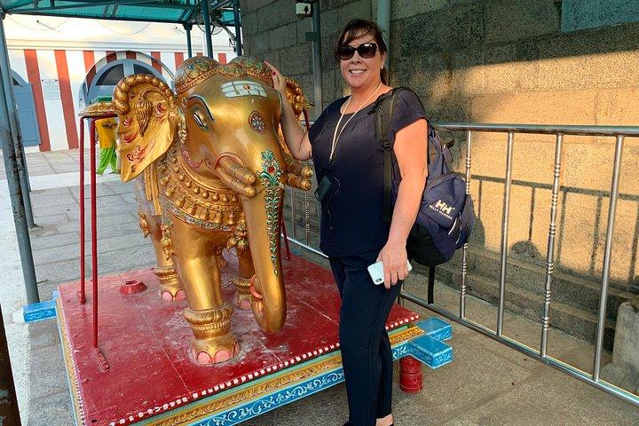 Exploring Mylapore: A Cultural & Historical Walking Tour