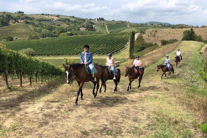 Horseback Ride, visit S.Gimignano, Lunch wine Tasting &much more