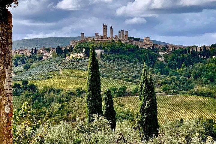 Private tour of Siena Monteriggioni San Gimignano, Winery, lunch