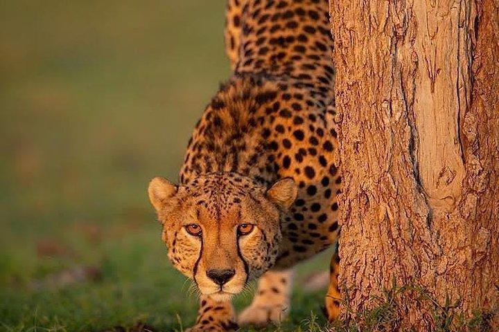 Day Tour Cultural Cycling and Raw Foot walking Safari Expedition