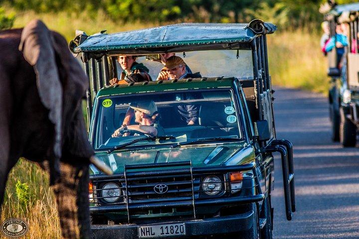 Hluhluwe-Imfolozi Park Full Day Big 5 Safari Tour