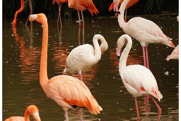 7 Day Budget Safari in Kenya