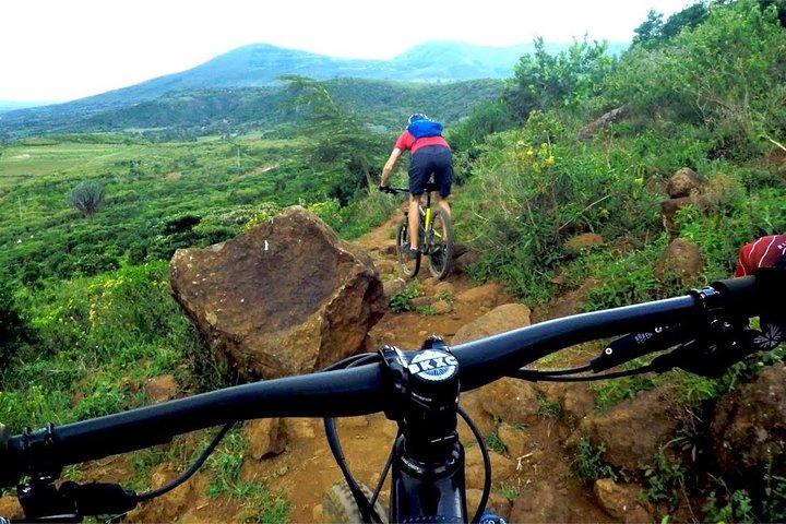 11 Days Incredible Safari Tour in Kenya