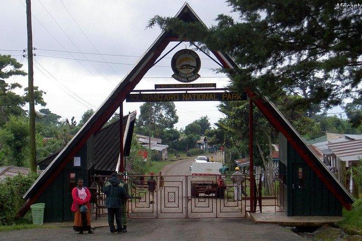 1 Day Kilimanjaro trek via Marangu Route