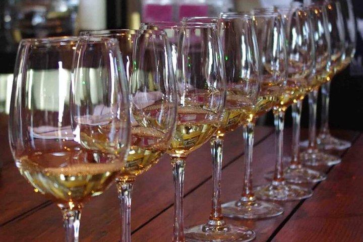 Private Tour - Waiheke Island Luxury Experience
