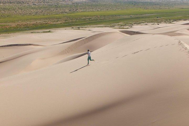1 Day Semi-Gobi Tour with Lunch And Enjoying Camel or Horseback