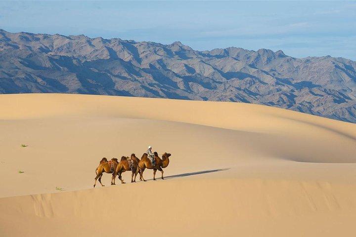1 Day Semi-Gobi Tour with Lunch And Enjoying Camel or Horseback