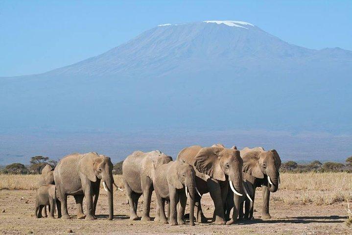 6-Day Group Joining Safari- Nairobi, Nakuru, Naivasha & Amboseli
