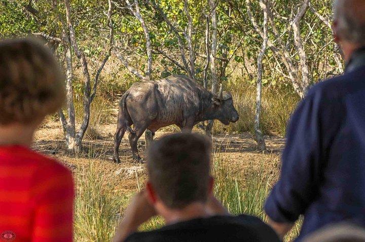 iSimangaliso Wetland Park, Full Day Tour