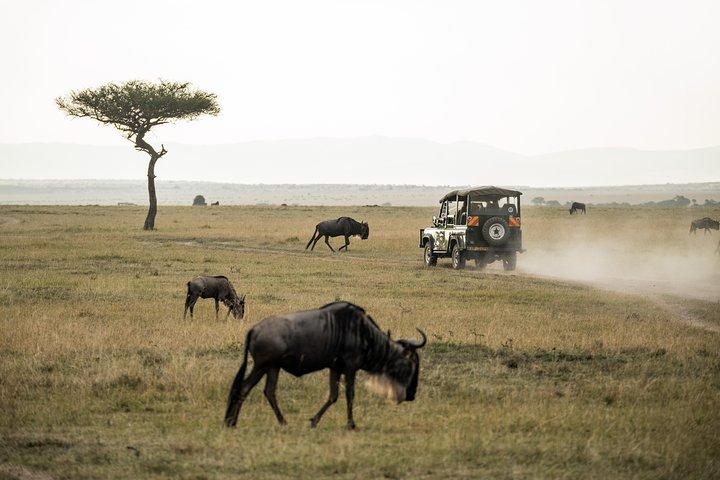 Full-Day Pilanesberg Nature Reserve and Sun City Tour from Johannesburg