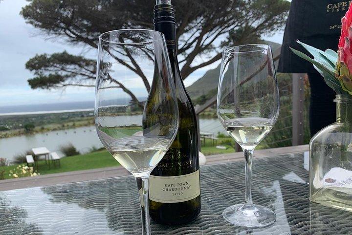 Private Top Award-Winning Cape Wine Tasting Full Day Tour