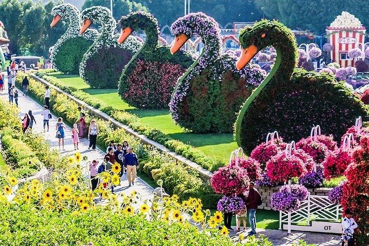 Private Tour: Miracle Garden, Butterfly Garden & Global Village