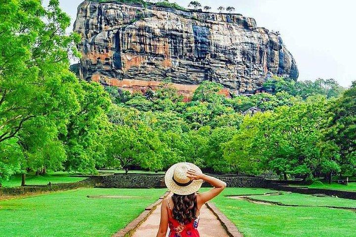 Private Arrival Transfer : Airport to Sigiriya