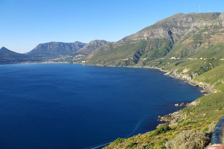 Half-Day Cape Peninsula Tour from Cape Town