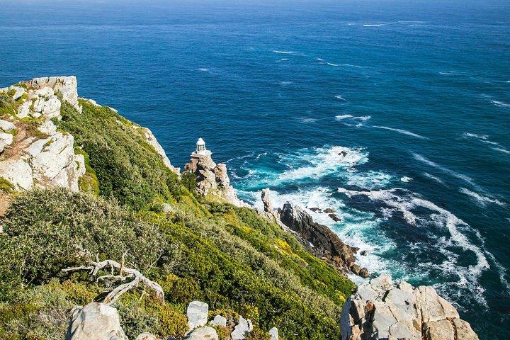 Half-Day Cape Peninsula Tour from Cape Town