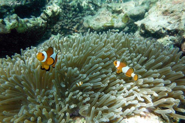 Krabi to James Bond and Hong Islands Offbeat Speedboat Tour