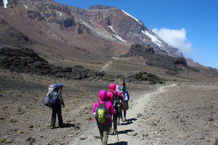 CLIMB THE KILIMANJARO rongai route