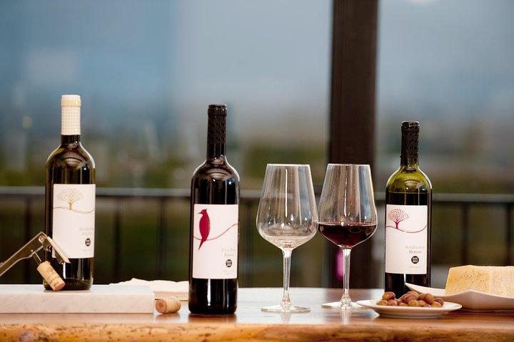 Wine and olive oil tasting & farm tour