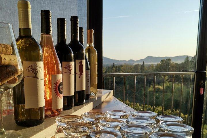 Wine and olive oil tasting & farm tour