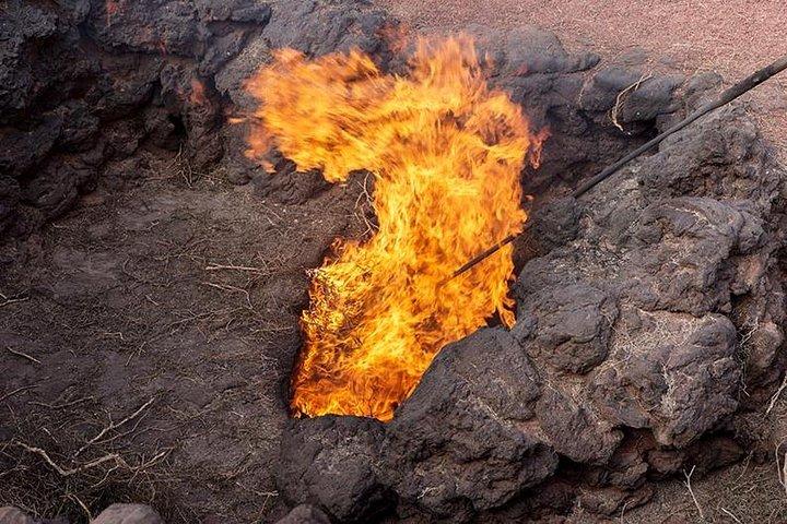 Timanfaya Park & Camel Ride (extra cost) - Short South Tour