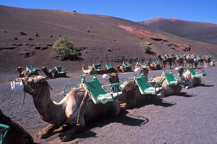 Timanfaya, Golfo, Jameos Agua & Camel Ride (opt) - Lanzarote