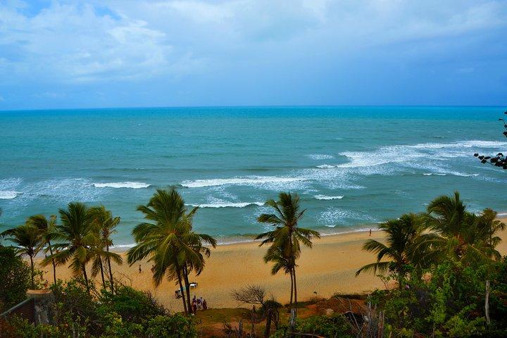 1 Day Tour to Pipa Beach / RN - Departing from Natal / RN