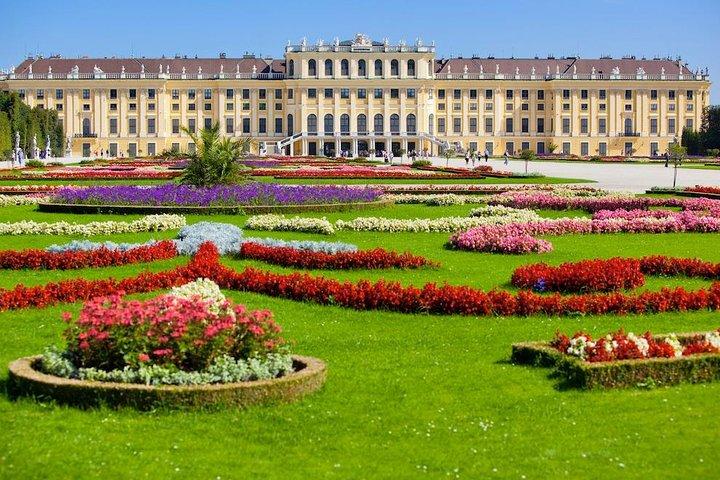 Private 3-hour Walking Tour of Vienna with official tour guide