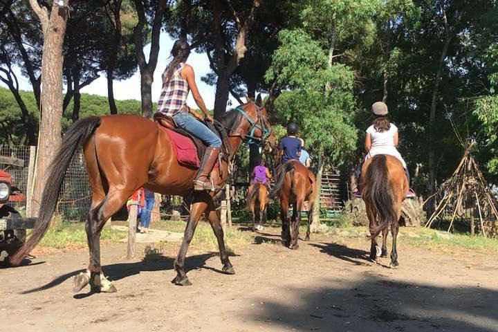 Horse Sanctuary & Trail Ride