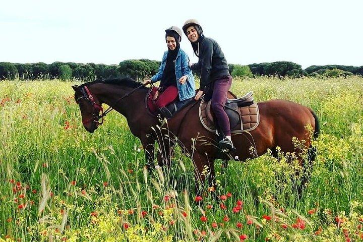 Horse Sanctuary & Trail Ride