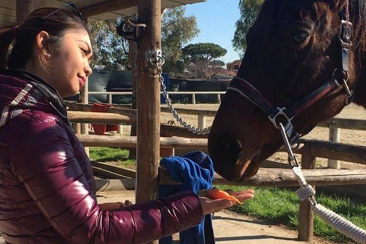 Rome : Horseback Riding with meals and wine included