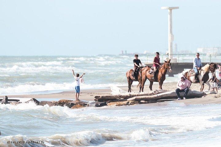 Rome: Horseback Riding on the Beach with aperitif