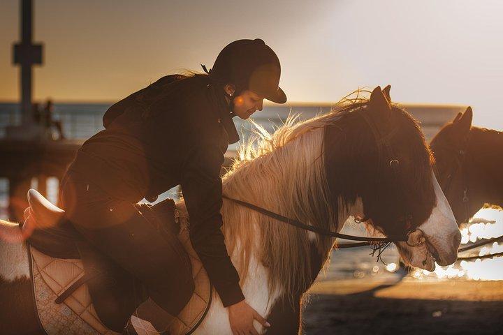 Rome: Horseback Riding on the Beach with aperitif
