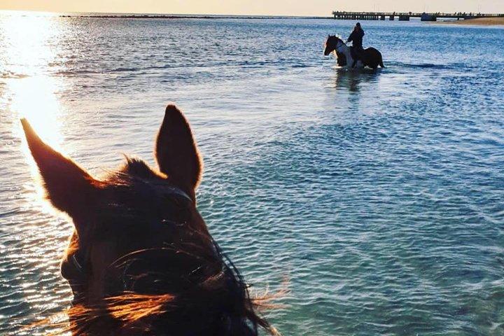 Rome: Horseback Riding on the Beach with aperitif