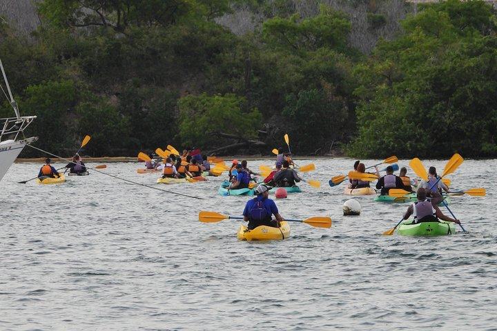 Bioluminescent Bay Night Kayaking, Fajardo 7:30pm