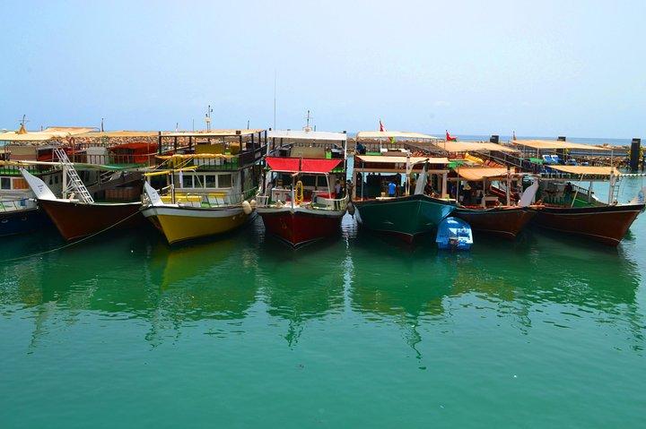 Musandam full day Sea safari with lunch from Dubai