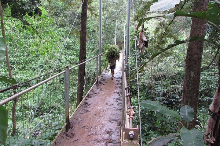 Kibosho Village Day Tour Experience from Moshi